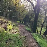 Quinta Do Penedo- Refugio De Charme E Natureza Ferreira do Zezere
