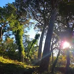Quinta Do Penedo- Refugio De Charme E Natureza Holiday home