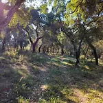 Quinta Do Penedo- Refugio De Charme E Natureza Holiday home *
