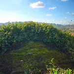 Quinta Do Penedo- Refugio De Charme E Natureza Ferreira do Zezere