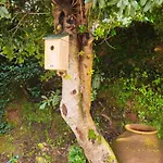 Holiday home Quinta Do Penedo- Refugio De Charme E Natureza