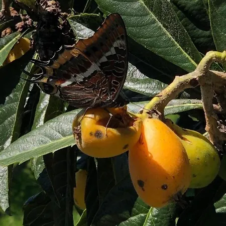 Quinta Do Penedo- Refugio De Charme E Natureza Casa vacanze Ferreira do Zêzere