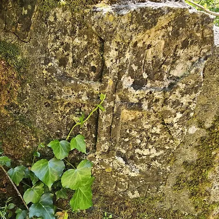 Quinta Do Penedo- Refugio De Charme E Natureza * Ferreira do Zêzere