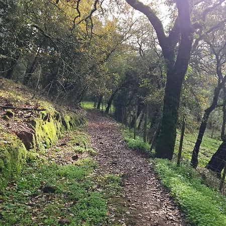 Quinta Do Penedo- Refúgio De Charme E Natureza Ferreira do Zêzere