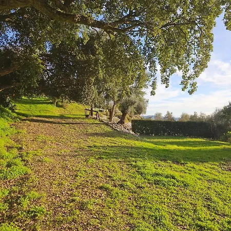 Сasa de vacaciones Quinta Do Penedo- Refúgio De Charme E Natureza Ferreira do Zêzere