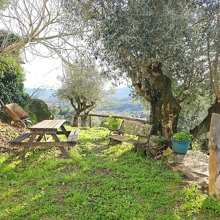 Quinta Do Penedo- Refúgio De Charme E Natureza * Ferreira do Zêzere