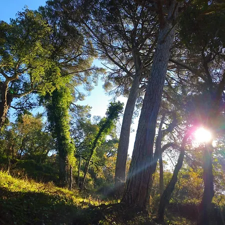 Quinta Do Penedo- Refúgio De Charme E Natureza Сasa de vacaciones
