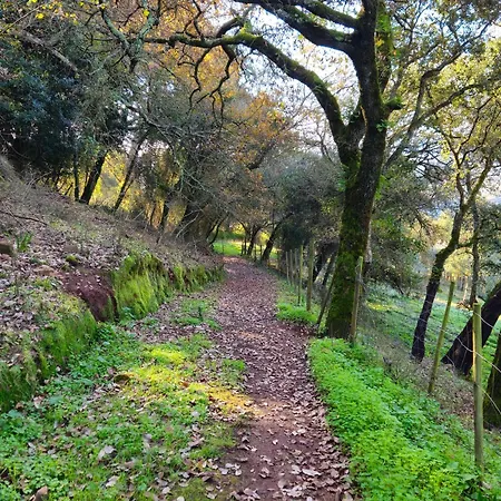 Quinta Do Penedo- Refúgio De Charme E Natureza * Ferreira do Zêzere