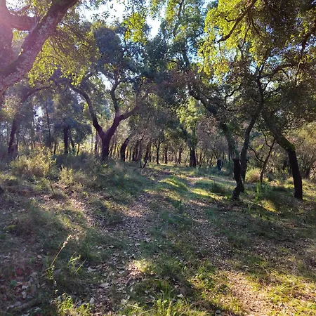 Quinta Do Penedo- Refúgio De Charme E Natureza Сasa de vacaciones *