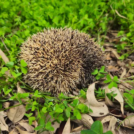 Quinta Do Penedo- Refúgio De Charme E Natureza Сasa de vacaciones *