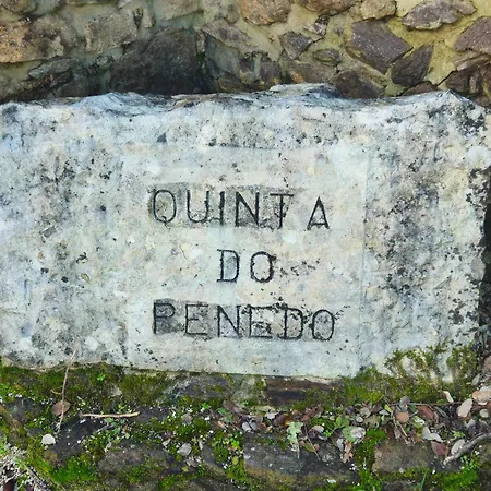Quinta Do Penedo- Refúgio De Charme E Natureza