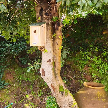 Сasa de vacaciones Quinta Do Penedo- Refúgio De Charme E Natureza