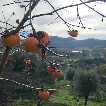Quinta Do Penedo- Refúgio De Charme E Natureza Сasa de vacaciones Ferreira do Zêzere